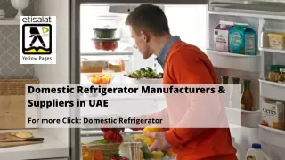 Domestic Refrigerator Manufacturers & Suppliers in UAE