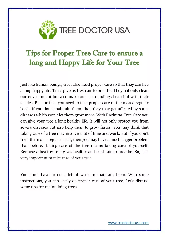 tips for proper tree care to ensure a tips