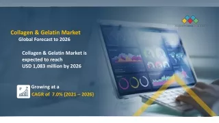 Collagen & Gelatin Market