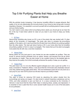 Top 5 Air Purifying Plants that Help you Breathe Easier at Home