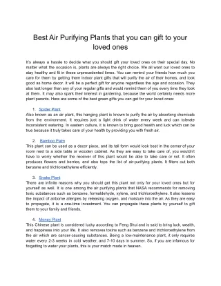 Best Air Purifying Plants that you can gift to your loved ones