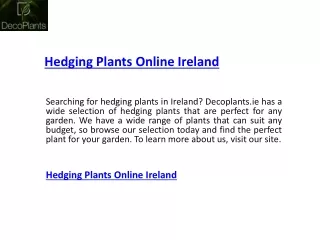 Hedging Plants Online Ireland  Decoplants.ie