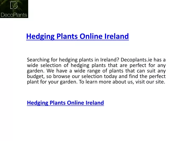 hedging plants online ireland