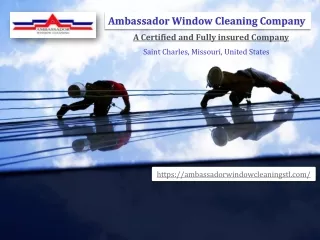 St Louis Window Cleaning Company