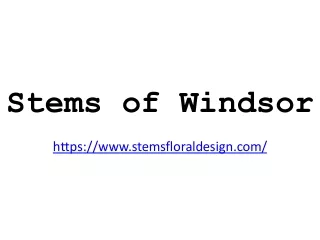 stems of windsor