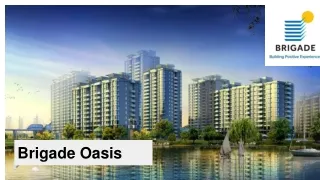 brigade oasis