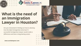What is the Need of an Immigration Lawyer in Houston