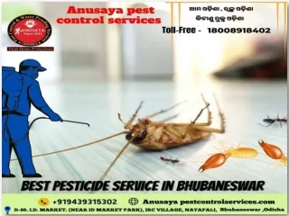 Best termite pest control services in Bhubaneswar