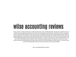 wiise accounting reviews