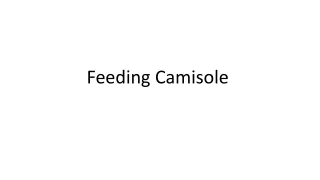 Feeding Camisole