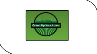 The Best Lawn Paint for Your Garden