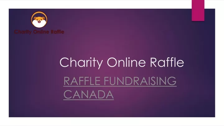 charity online raffle raffle fundraising canada