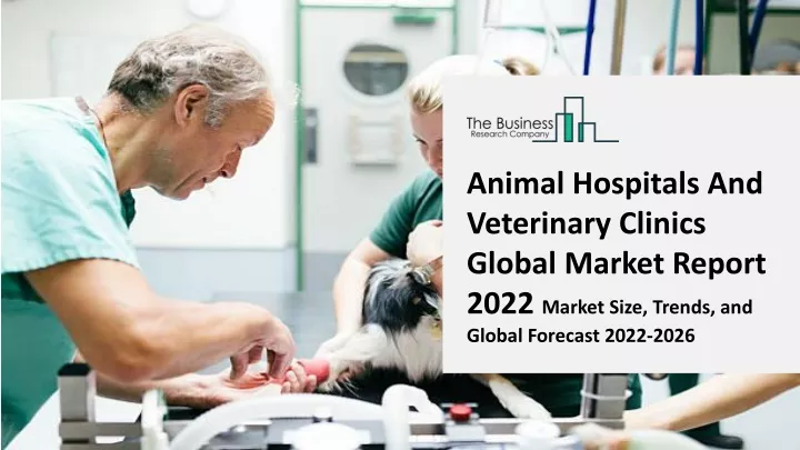 animal hospitals and veterinary clinics global