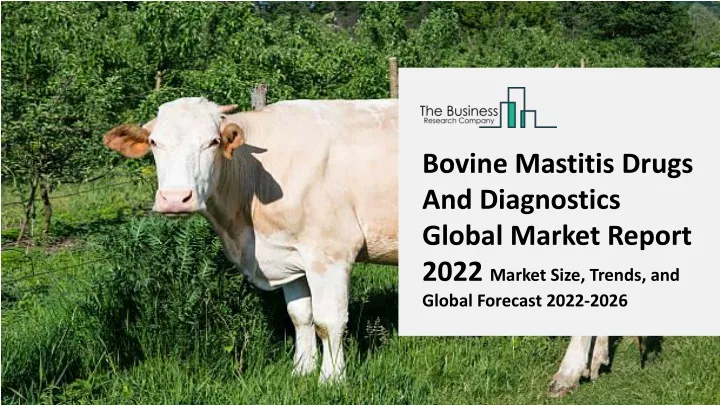 bovine mastitis drugs and diagnostics global