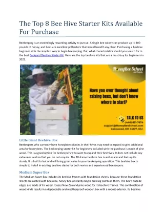 The Top 8 Bee Hive Starter Kits Available For Purchase