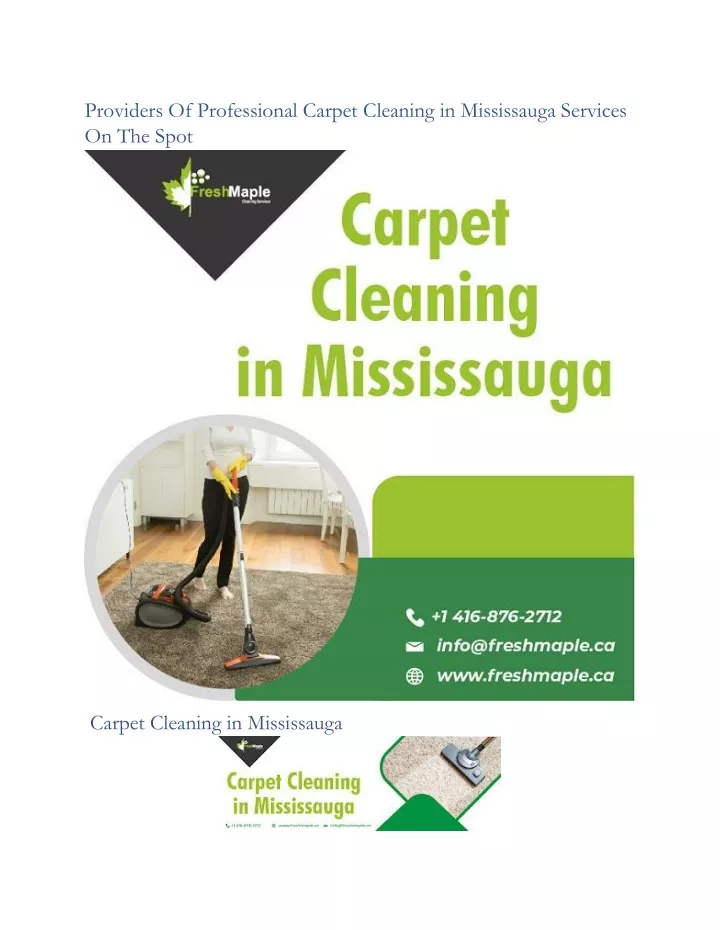providers of professional carpet cleaning