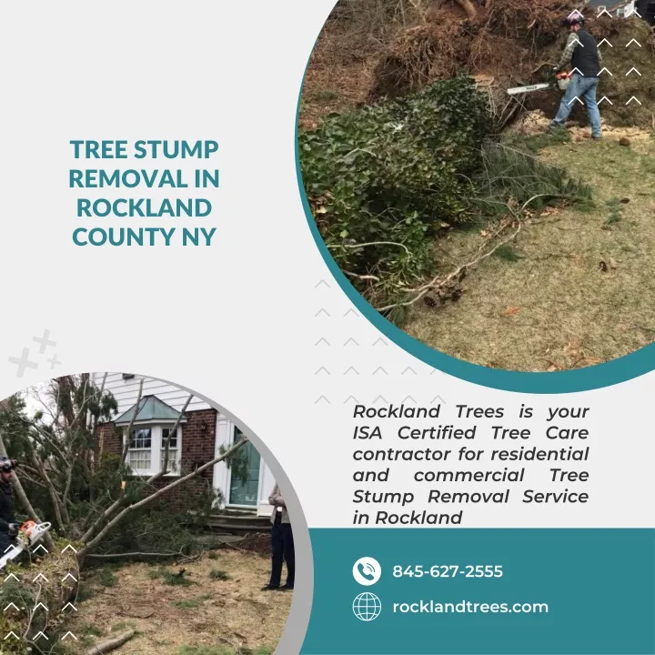 tree stump removal in rockland county ny