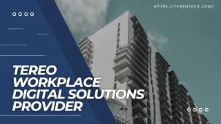 Tereo Tech Workplace Digital Solutions