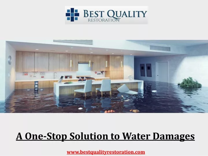 a one stop solution to water damages