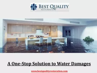 A One-Stop Solution to Water Damages