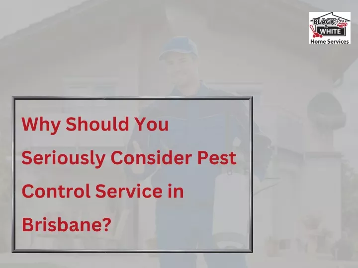 why should you seriously consider pest control