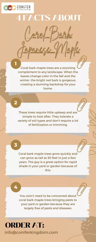 4 facts about coral bark coral bark japanese