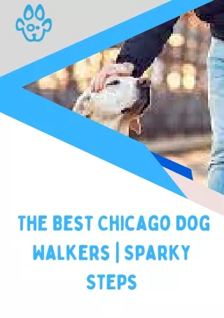 The Best Chicago Dog Walkers  Sparky Steps