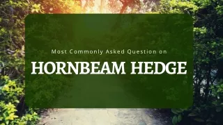 most commonly asked question on