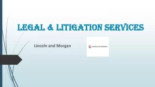 Legal & Litigation services