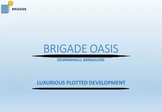 brigadeoasis