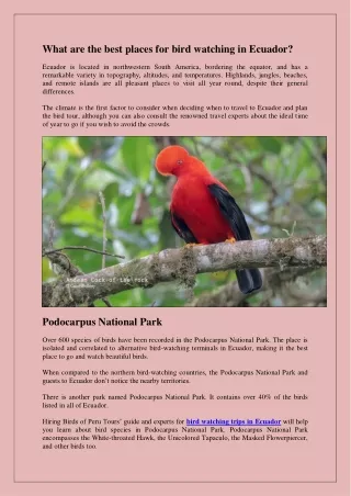 What are the best places for bird watching in Ecuador?