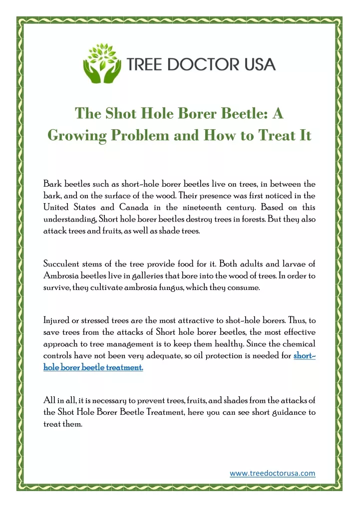 the shot hole borer beetle a growing problem