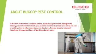 Best Pest Control In San Antonio - Bugco Pest Control