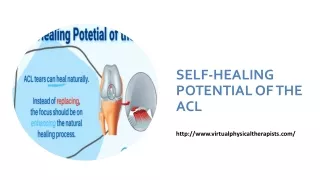 SELF-HEALING POTENTIAL OF THE ACL