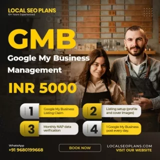 Google My Business Monthly Management - LOCALSEOPLANS.COM