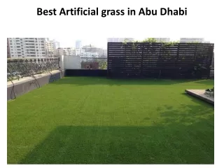 Best Artificial grass in Abu Dhabi