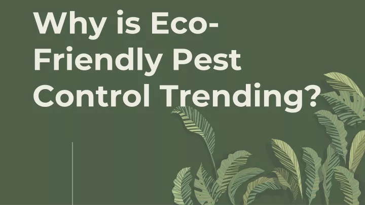 why is eco friendly pest control trending