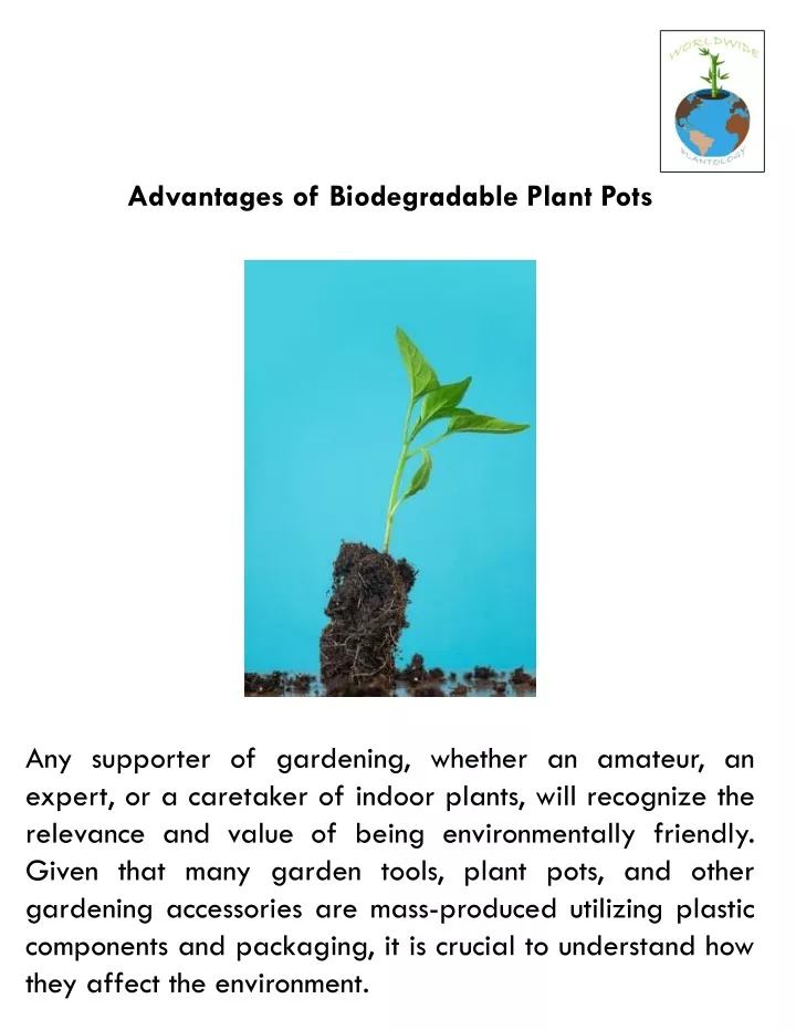 advantages of biodegradable plant pots