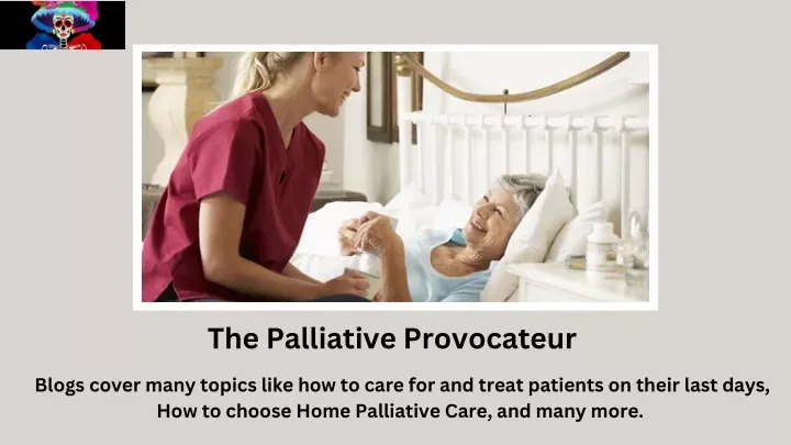 the palliative provocateur
