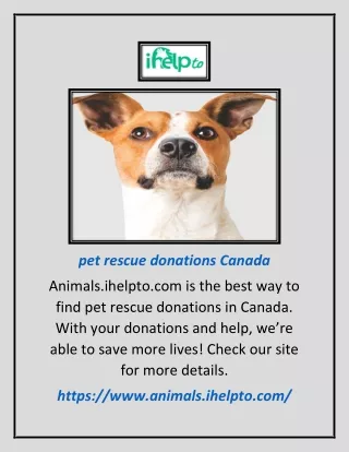 Pet Rescue Donations Canada | Animals.ihelpto.com
