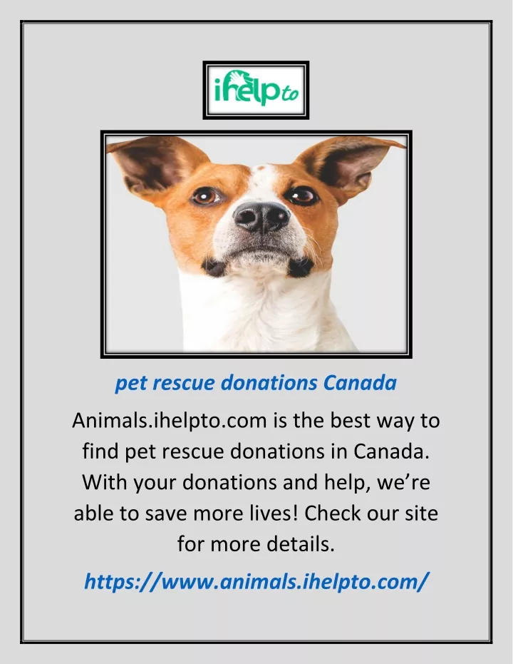 pet rescue donations canada