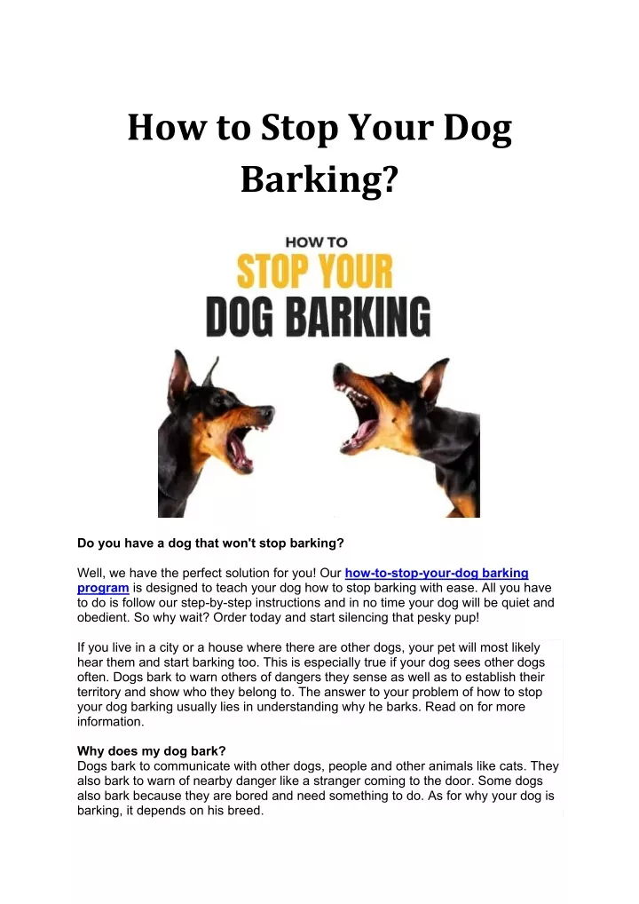 how to stop your dog barking