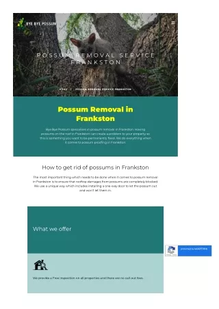 Possum Removal Service Frankston