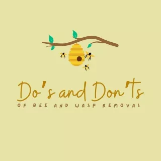 Do’s and Don’ts of Bee and Wasp Removal