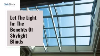 Skylight Blinds