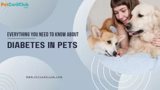 Everything you need to know about Diabetes in pets - PetCareClub