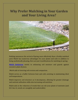 why prefer mulching in your garden and your