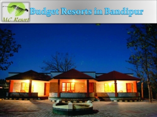 Enjoy the Best Bandipur Jungle Resorts with MC Resorts