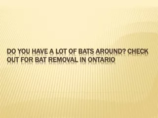 do you have a lot of bats around check out for bat removal in ontario