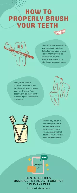 How to Brush Your Teeth Correctly